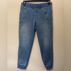 Gloria Vanderbilt Denim Jogger Jeans Elastic Waist Pull On Blue Stretch